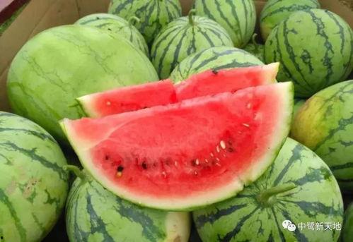 ccgg6今日吃瓜,揭秘娱乐圈最新热点事件