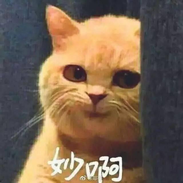 猩猩姐吃瓜,揭秘娱乐圈幕后故事