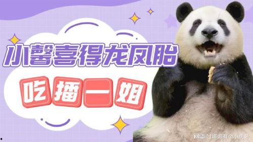 猩猩姐吃瓜,揭秘娱乐圈幕后故事