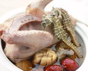 吃瓜的海马,揭秘海洋中的“美食家”