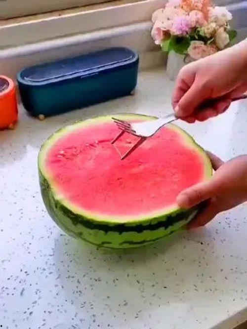 追追吃绞瓜,一场奇妙的冒险之旅