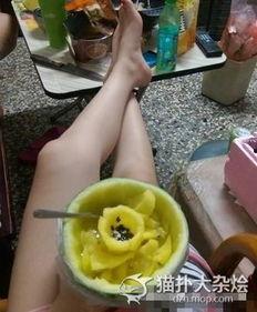 追追吃绞瓜,一场奇妙的冒险之旅