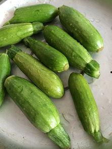 小瓜吃瓜瓜,一场甜蜜的瓜果盛宴