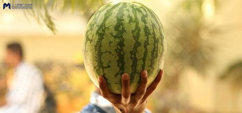 有什么吃瓜事件,揭秘明星背后的惊人真相