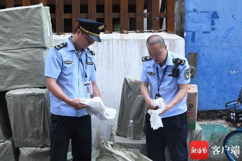 海口最近吃瓜事件,一场网络热议背后的真相揭秘