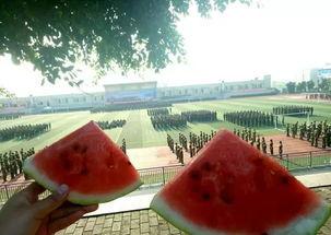 南京学弟吃瓜,揭秘校园里的“瓜田”风云