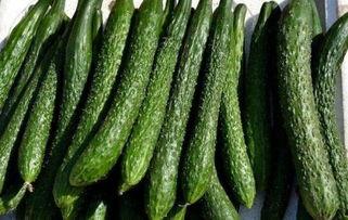 吃蛤蟆瓜可以减肥吗,天然美食助力瘦身之旅