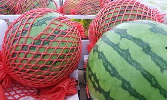 景仪吃瓜,揭秘娱乐圈背后的那些事儿