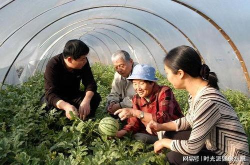 猛牛吃瓜,揭秘动物界的另类美食奇观