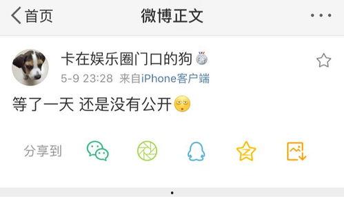 吃瓜爆料12页,12页深度揭秘娱乐圈幕后真相