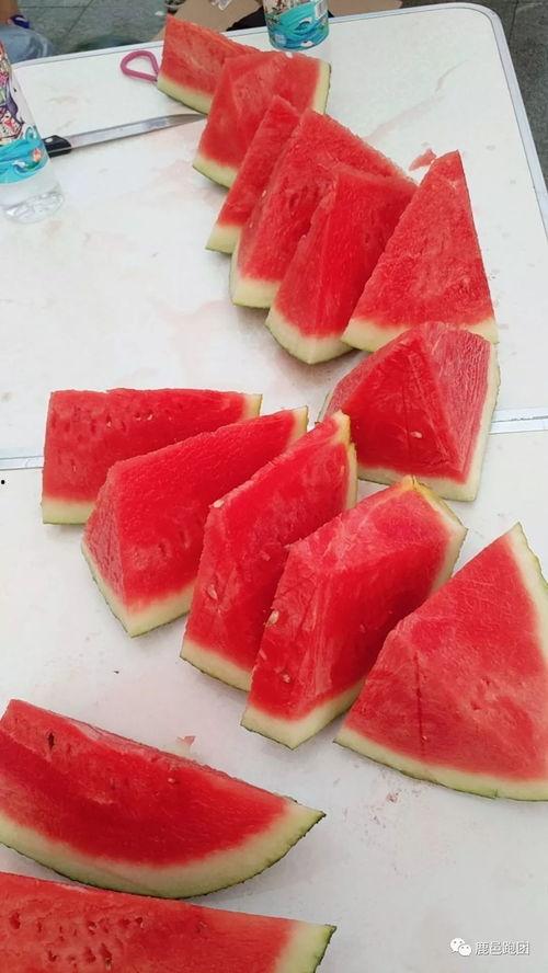 吃瓜大赛信丰,瓜香四溢，欢乐无限