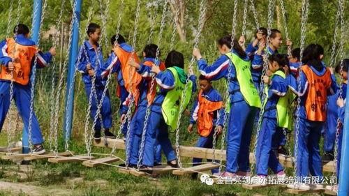 课后吃瓜拓展训练,趣味学习新体验