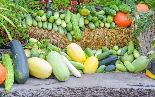 周总在忙吃瓜,揭秘娱乐圈幕后风云