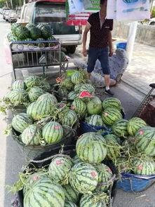 广西校园吃瓜事件,揭秘校园食品安全风波