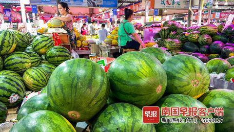 广西校园吃瓜事件,揭秘校园食品安全风波