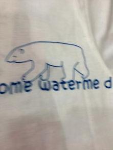 吃瓜专用短袖,吃瓜专用短袖，清凉一夏！