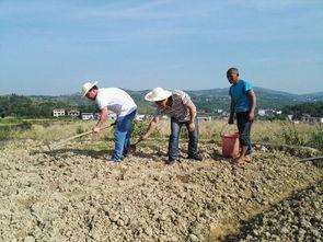 邢台柏乡吃瓜事件,一场引发热议的街头冲突纪实