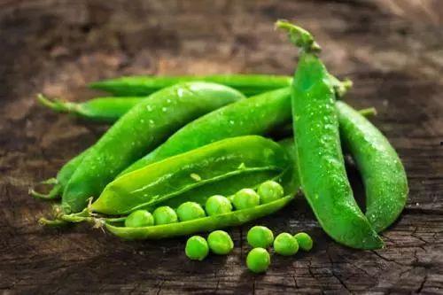 吃瓜吃豆季节,四季美食尽享丰收时