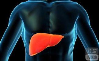 肝功能异常吃哈密瓜好吗,肝功能异常患者食用哈密瓜的适宜性探讨