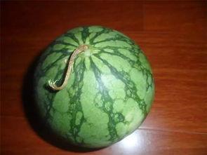 吃瓜老仙,揭秘娱乐圈背后的那些事儿