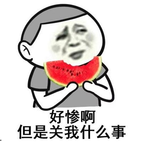 吃瓜学弟和卖瓜学姐,校园里的甜蜜瓜事