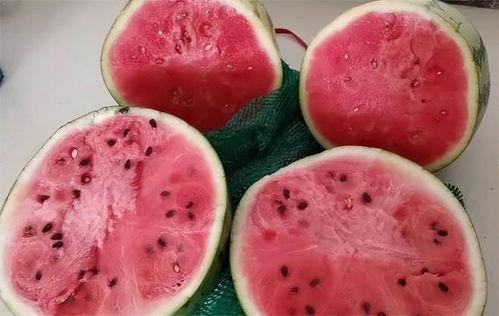 喜欢吃苹果瓜麒麟瓜,探寻苹果、瓜麒麟的独特魅力