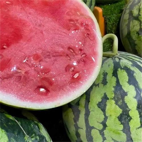 喜欢吃苹果瓜麒麟瓜,探寻苹果、瓜麒麟的独特魅力