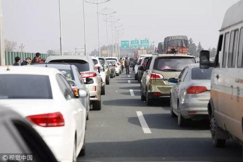 回家过年吃瓜群众,吃瓜群众的欢乐盛宴