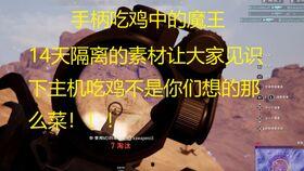 呆呆瓜吃鸡全集