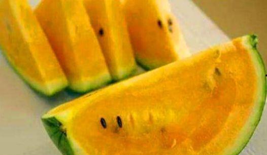 瓤子瓜可以吃吗,美味可口的食用指南