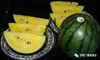 兰州明天有瓜吃吗,畅享夏日甜蜜时光