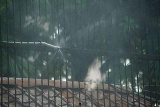 吃瓜群众在公园拍到的瓜,吃瓜群众捕捉到的神秘瓜界奇观