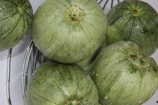 孕妇吃银瓜好吗,孕妇食用银瓜的适宜性探讨