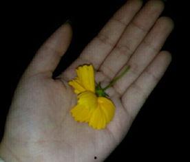 吃瓜群众免费吃瓜视频下载,吃瓜群众专属视频下载攻略