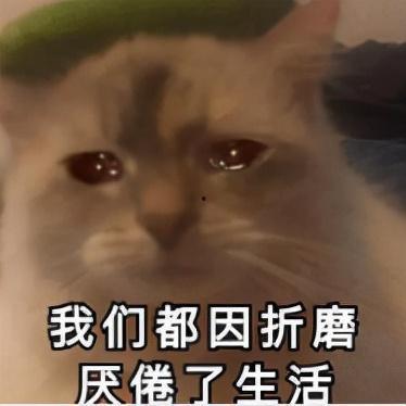 吃瓜后续来了,揭秘事件真相，还原事件全貌