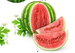 吃瓜唐美人,揭秘娱乐圈的甜蜜瓜田