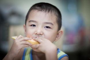 吃瓜小崽,揭秘娱乐圈幕后故事