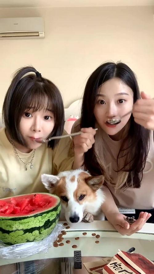 吃瓜的两闺蜜,共享八卦，共度欢乐时光