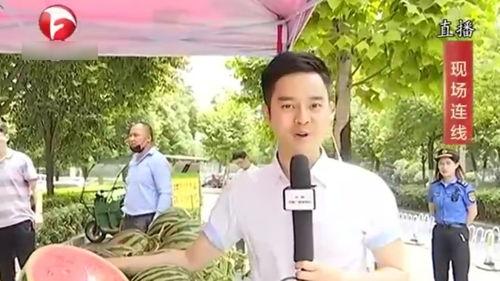 蜀山吃瓜,揭秘神秘仙山中的吃瓜趣事