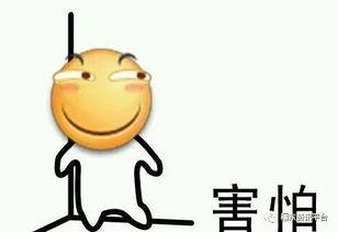 搞笑吃小瓜,揭秘搞笑吃小瓜的欢乐瞬间