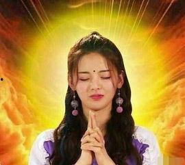 吃瓜视频杨咩咩