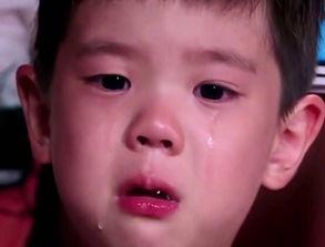 吃瓜视频杨咩咩