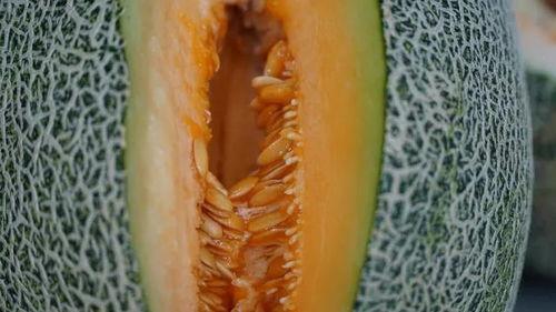 肺虚吃蜜瓜,润肺养阴，健康生活新选择