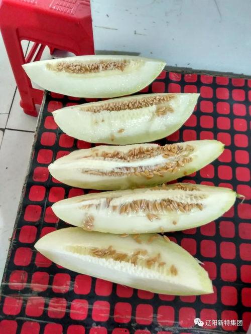 职教园区吃瓜,揭秘校园生活趣事