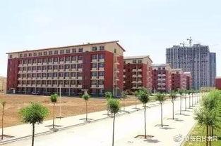 职教园区吃瓜,揭秘校园生活趣事