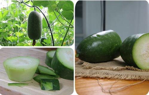 梦到吃瓜有虫,吃瓜遇虫背后的寓意与启示