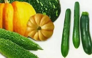 临港区哪里吃瓜,这些地方是品尝美味瓜果的绝佳去处