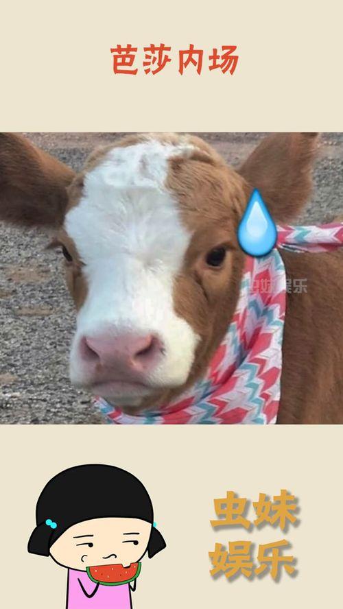 吃瓜怎么发抖音,轻松玩转热门话题