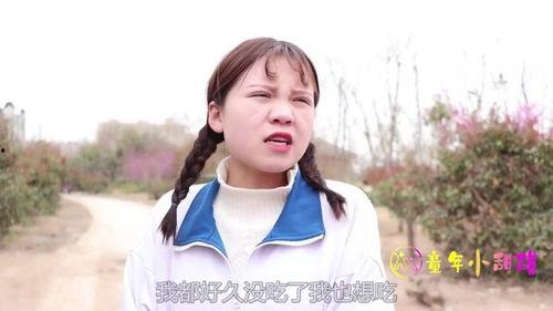 甜甜和来福吃瓜,瓜田里的欢乐时光