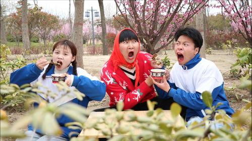 甜甜和来福吃瓜,瓜田里的欢乐时光